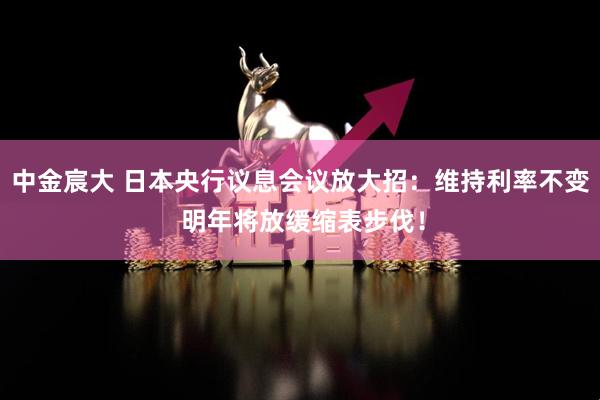 中金宸大 日本央行议息会议放大招：维持利率不变 明年将放缓缩表步伐！