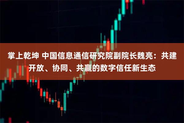 掌上乾坤 中国信息通信研究院副院长魏亮：共建开放、协同、共赢的数字信任新生态